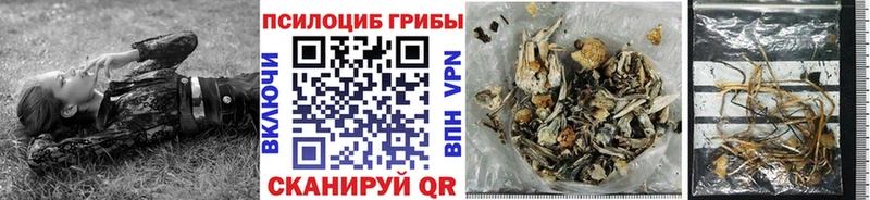 hydra сайт закладки Абакан Псилоцибиновые грибы ЛСД