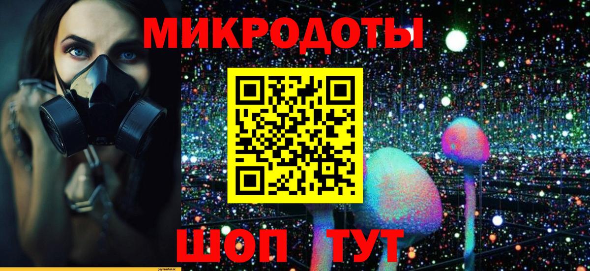 Галлюциногенные грибы мицелий  Галлюциногенные грибы Psilocybine cubensis  Абакан  Вход с VPN 