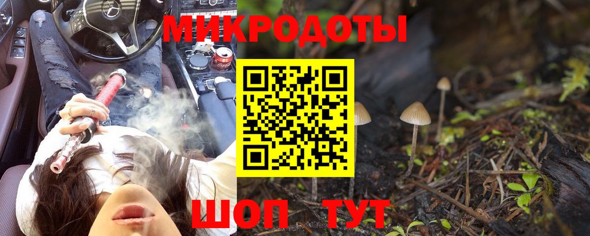 Галлюциногенные грибы Psilocybe Абакан