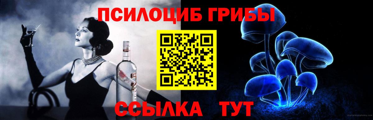 Галлюциногенные грибы Magic Shrooms  купить наркотик  Псилоцибиновые грибы Psilocybe  Абакан 